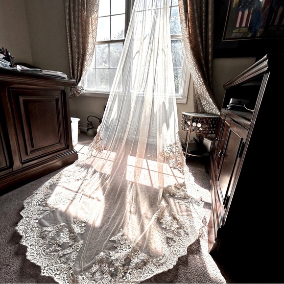 David's Bridal Accessories - Dark Ivory Embroidered Lace Cathedral Bridal Veil
